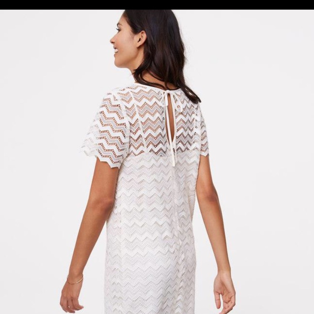 Loft Chevron Lace Dress